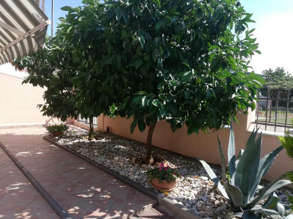 Apartments Merlin Novigrad  Bagian luar foto